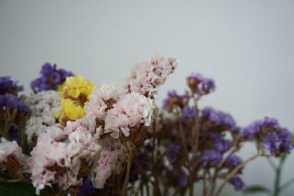ドライフラワー